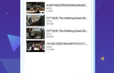 私密禁卫军 锁上的文件,锁链背后的秘密档案